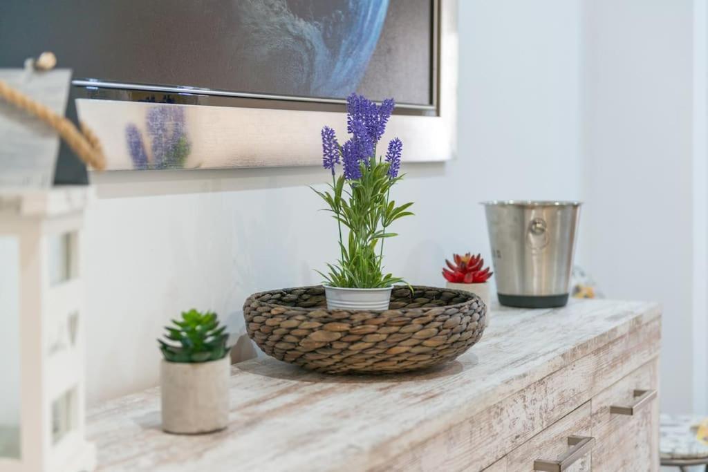 Apartament Luxury